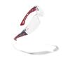 Safety glasses Clear RUSH+ Platinum Black / Red Rimless